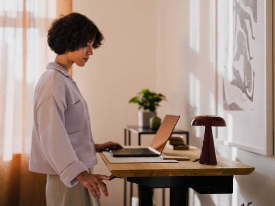 oak, , | Mini Standing Desk Pro